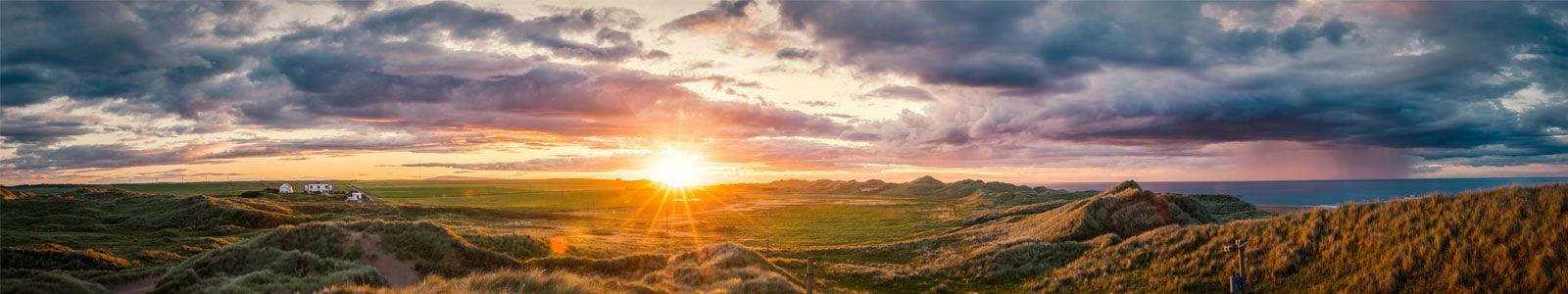 Fiction - Sapphic Society