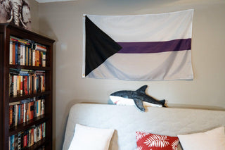Demisexual Pride Flag - Sapphic Society