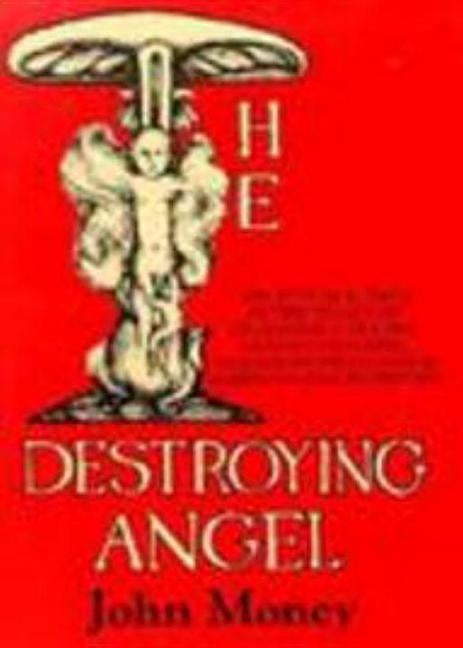 The Destroying Angel by Money, John