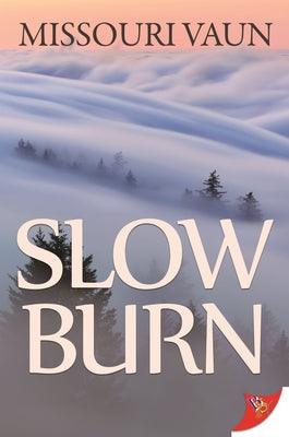 Slow Burn by Vaun, Missouri