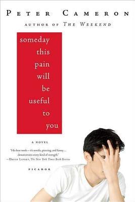 Someday This Pain Will Be Useful to You by Cameron, Peter