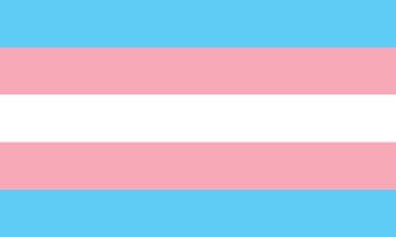 Transgender Pride Flag - Sapphic Society