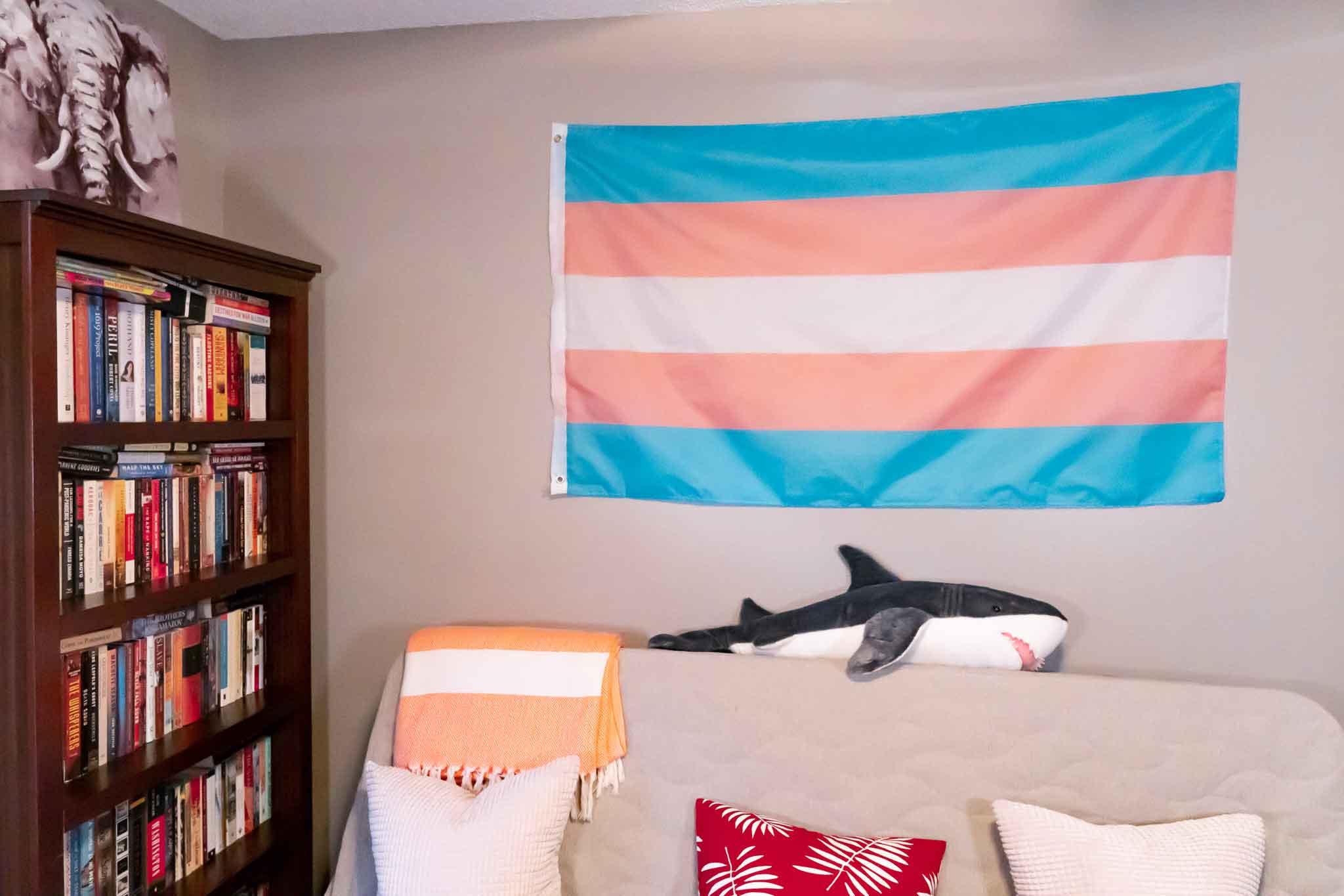 Transgender Pride Flag - Sapphic Society