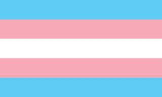 Transgender Pride Flag - Sapphic Society
