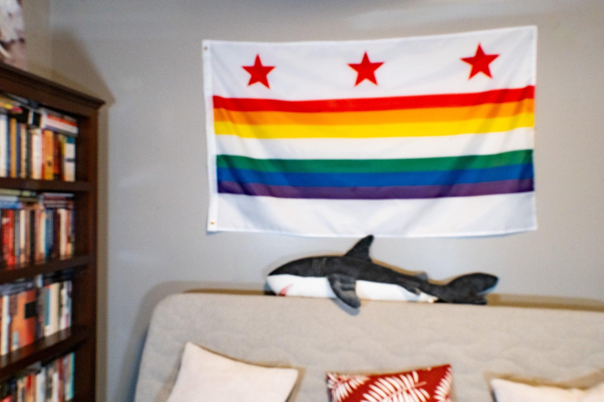 Washington D.C. LGBTQ+ Pride Flag - Sapphic Society