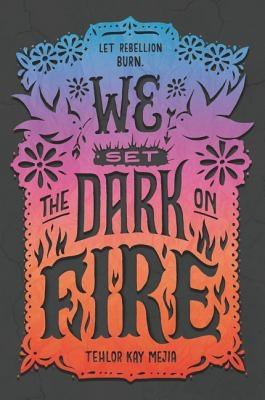 We Set the Dark on Fire by Mejia, Tehlor Kay