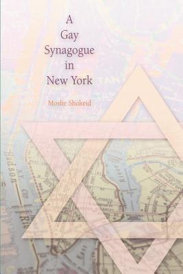 A Gay Synagogue in New York by Shokeid, Moshe