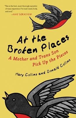 At the Broken Places: A Mother and Trans Son Pick Up the Pieces by Collins, Mary