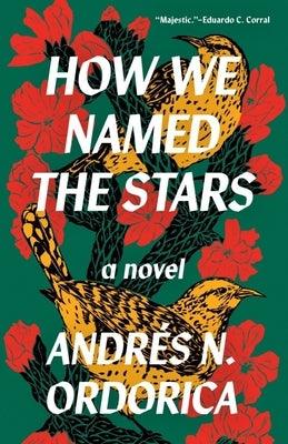 How We Named the Stars by Ordorica, Andr&#233;s N.