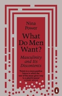 What Do Men Want?: Masculinity and Its Discontents by Power, Nina